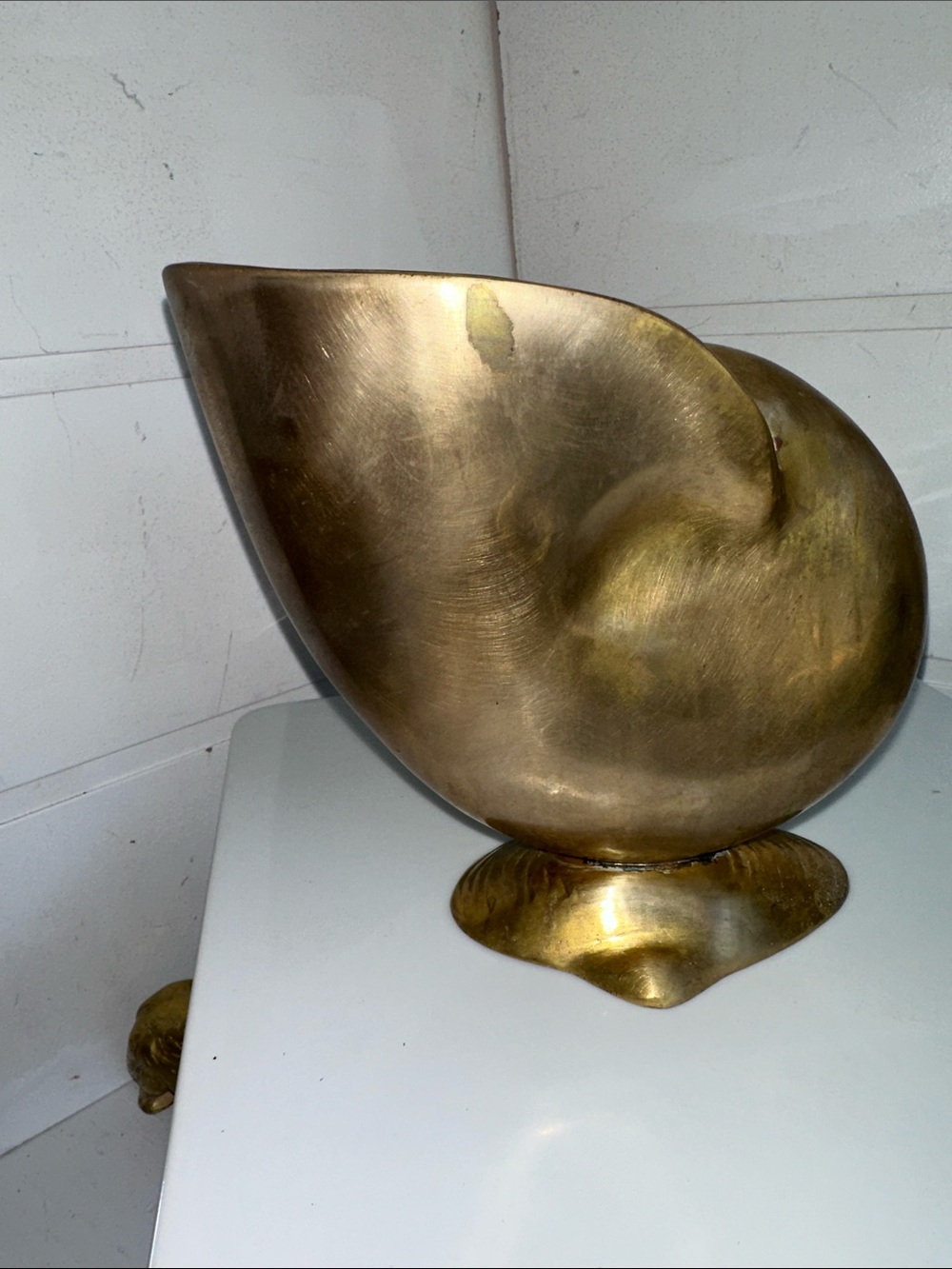 Vintage Nautilus brass shell on pedestal